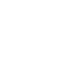Data Driven Digital
