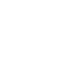 Data Driven Digital