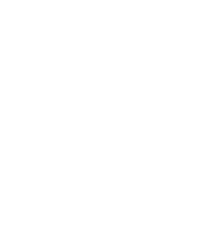 Data Driven Digital